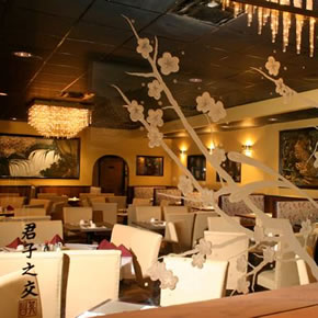 The Walk Of Coral Springs - Peking Tokyo